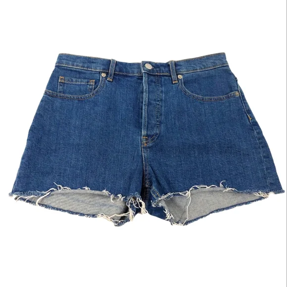 Everlane Checky Blue Button Fly Frayed Shorts