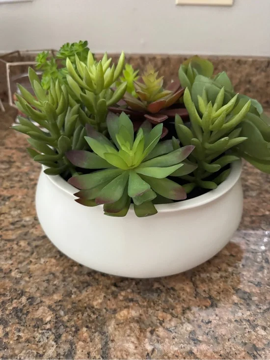 Pottery Barn Green Faux Succulent Bowl
