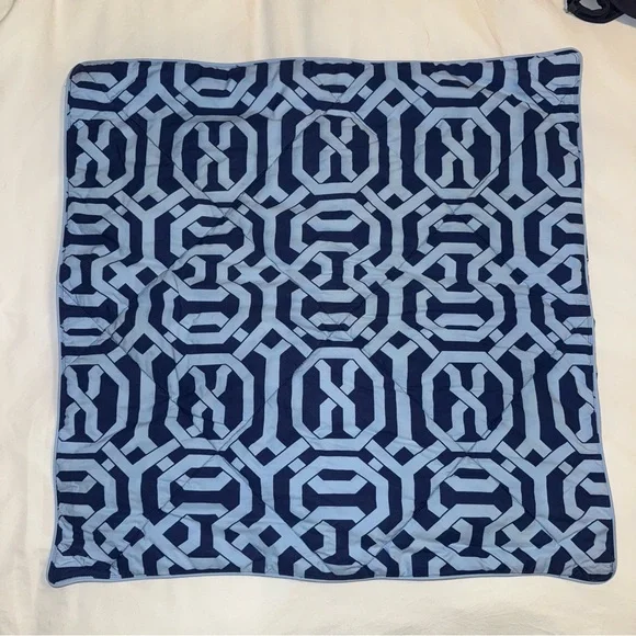 Pottery Barn Terri Trellis euro pillow sham