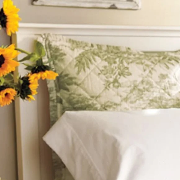 Pottery Barn Matine Toile Quilted Sham