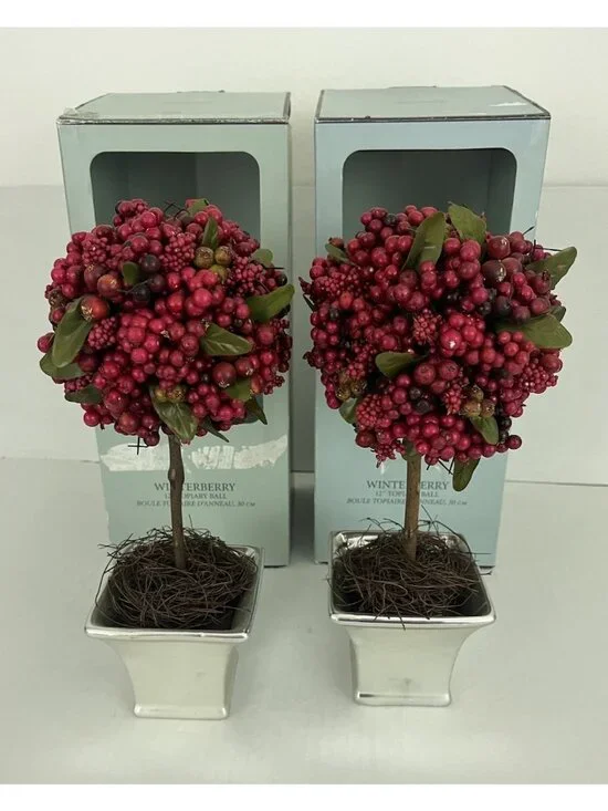 Restoration Hardware Winterberry 12
