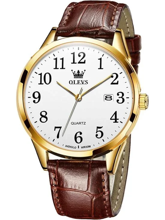 Men's Brown Gold Analog Stainless Steel Roman Numbers Waterproof Classic Watch