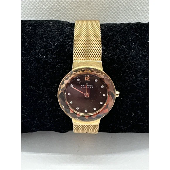Skagen Leonora 456SRR1 Womens Rose Gold-Tone Steel Mesh Analog Dial Watch AEA155