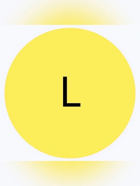 50 SHIPPING STICKERS - 2” ROUND - SIZE LARGE “L” - CLOTHING LABELS - YELLOW
