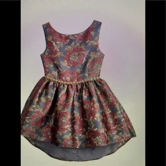 NWT Belle Bagley Mishka 16 floral jacquard dress