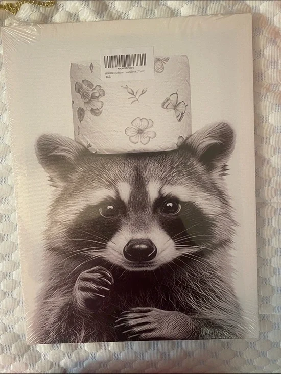 12 x 16in Raccoon Animal  Black & white Canvas Wall Art - Decorative Home Bath