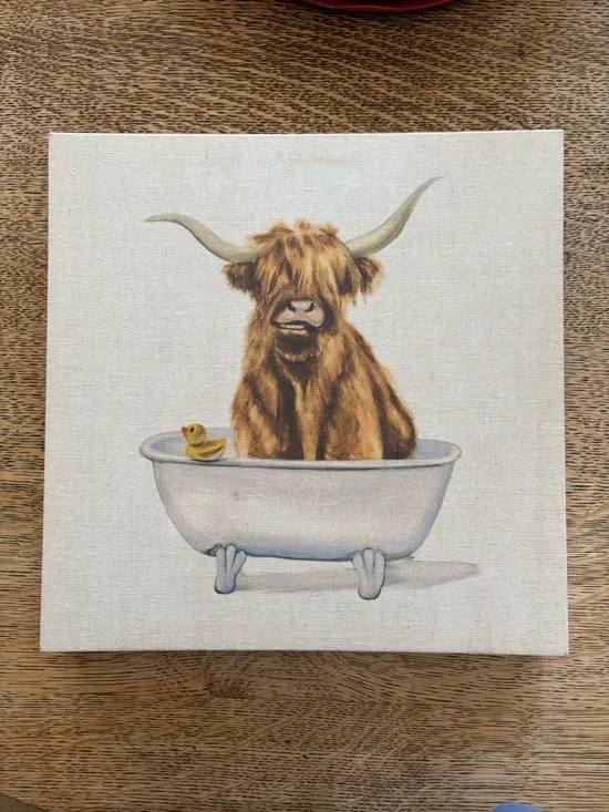 Yak in Bath 🐤