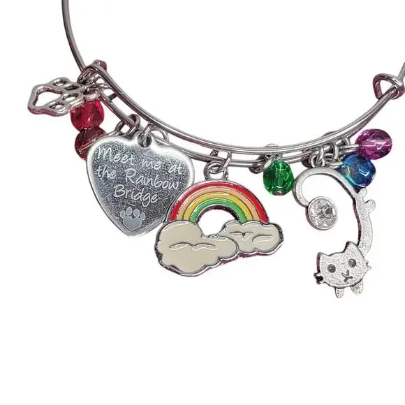 Rainbow Bridge cat women's charm bracelet‎ silver tone multicolor tribute loss