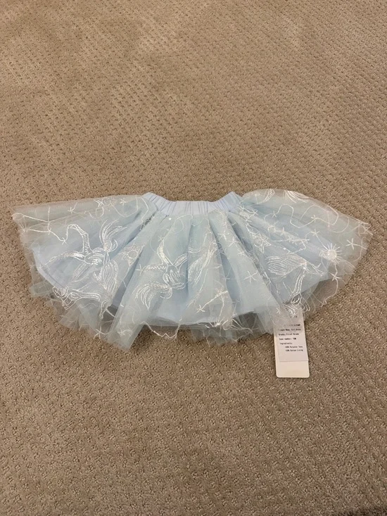 Light Blue Embroidered Tulle Tutu Skirt
