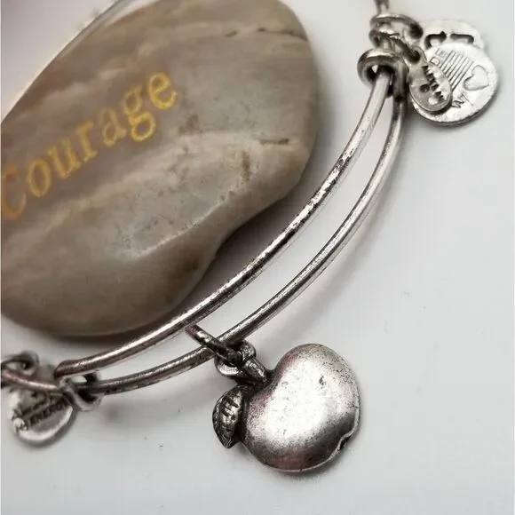 Alex and ani Apple of my eye silver tone bracelet energizer. B640