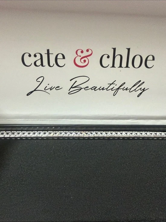 kate spade Pale Blue Jewelry/Accessory Box with Black Logo