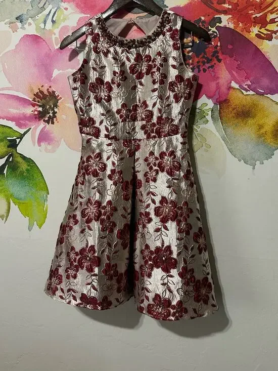 Rare Edition Kids Girls Dress Sparkling Red Floral Gold Embroidered Stones Sz 16
