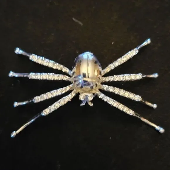 Spider Pin with Rhinestone Legs.