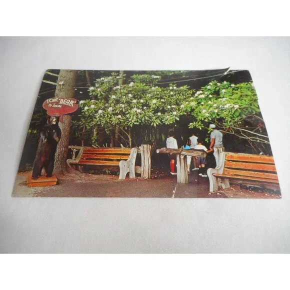 Vintage Postcard unposted Bushkill Falls, PA entrance rhododendron 1960s