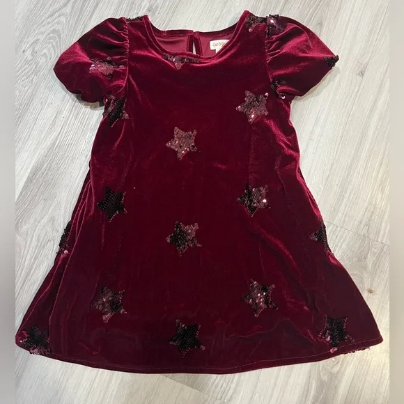 NWOT‎ Cat & Jack Burgundy Velvet Dress very beautiful
