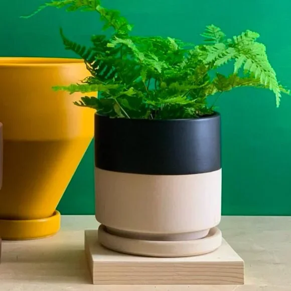 Set of 2 - Momma Planter Pots Porcelain Handmade 4.5 inch
