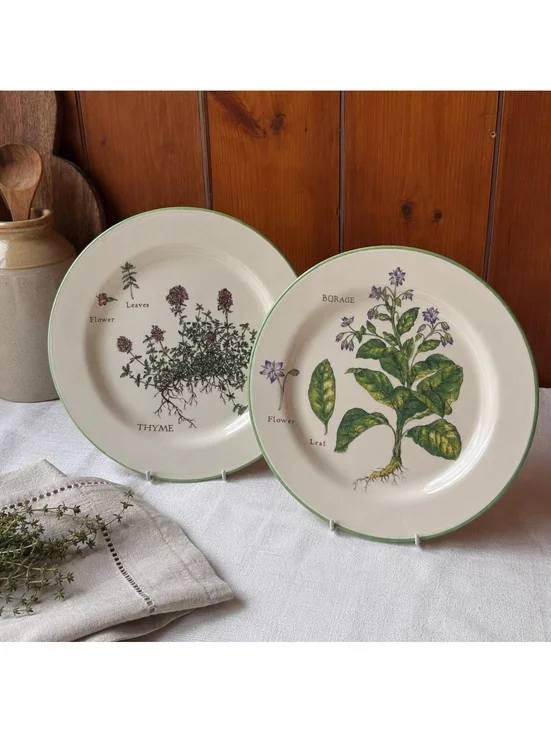 Vintage Williams Sonoma Culinary Herbs Plates Set Of 2 Thyme Borage 9 Inch