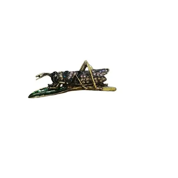 Jeweled grasshopper brooch