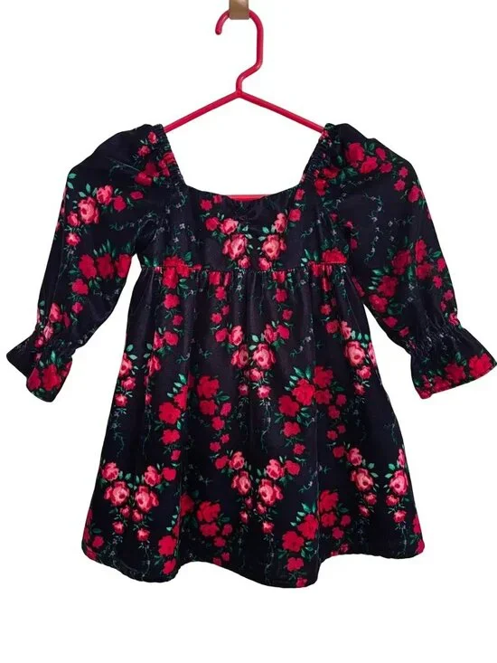 JANIE AND JACK Floral Velvet Dress in Dark Marine Rose Print  SZ 3