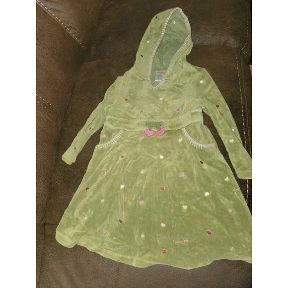 Gymboree‎ gingerbread girl Christmas hooded green dress with pockets size 3