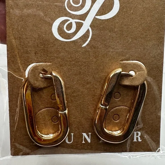 PLUNDER Goldtone Medium Chic Casual Earrings