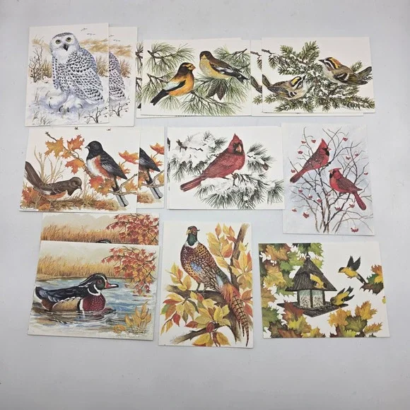 John Cornacchio Bird‎ Note Cards 16ct Multicolor Wildlife Art Stationery Set USA