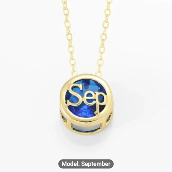 🎉🎉NEW🎉🎉 PRETTY!! Stainless Steel BLUE SEPTEMBER CZ Charm Necklace