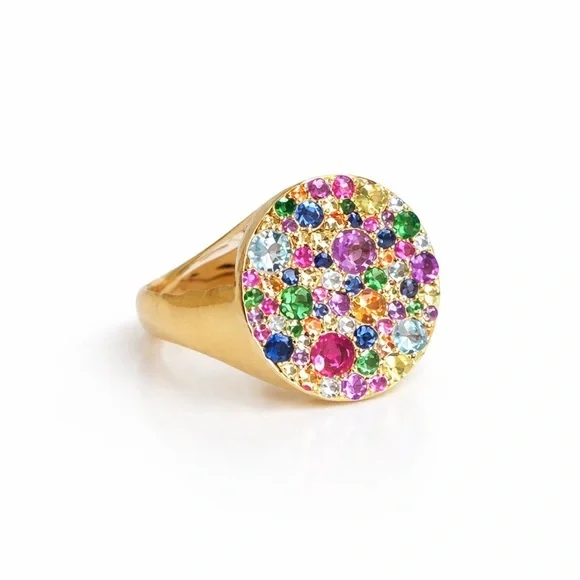 Multicolored Gemstones Rainbow Signet Ring Size 8