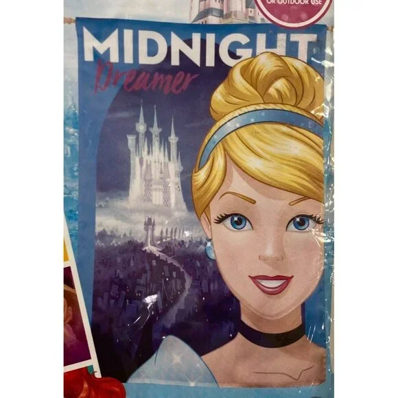 Disney Princess Cinderella Flag Party Banner Birthday Indoor Outdoor 28
