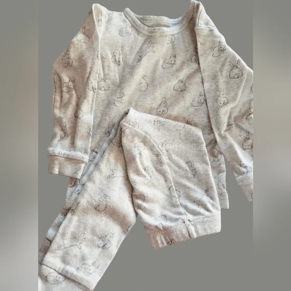 Owlivia Bunny Organic 2 Piece PJ Set-Size 3T EUC