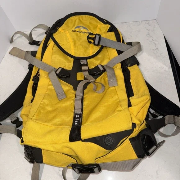 Dakine Pro 2 Snowboard/Ski Backpack