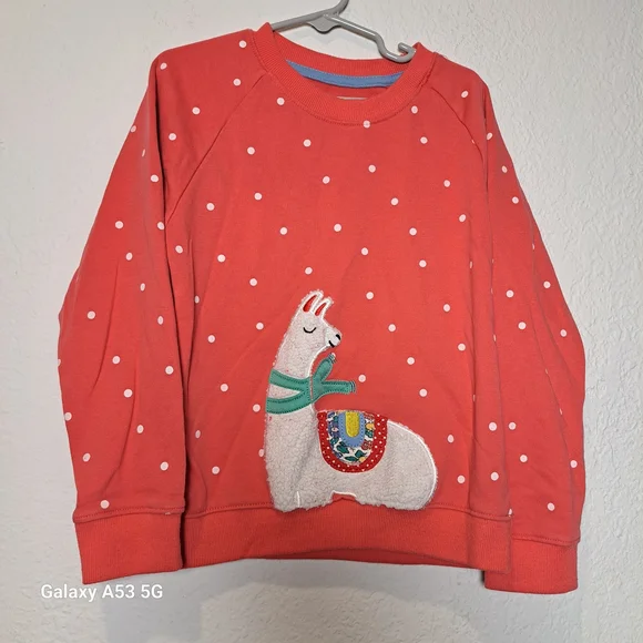Kids Llama Sweatshirt - Red
