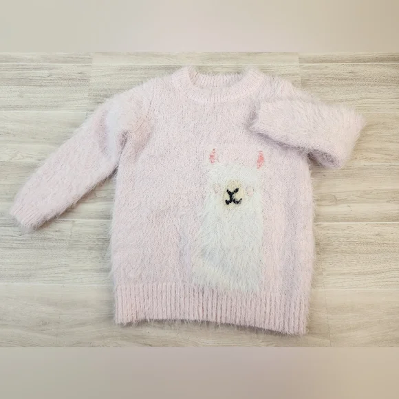2T Cat & Jack Sweater