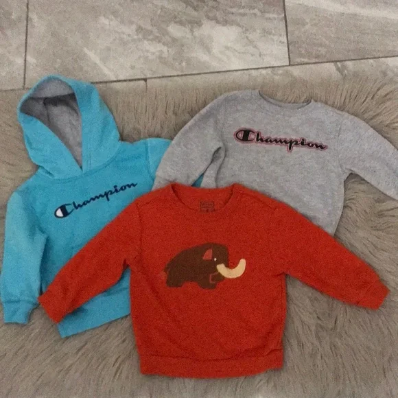 Champion/ Christian Robinson Boys Sweatshirt | Bundle of Three | 2T