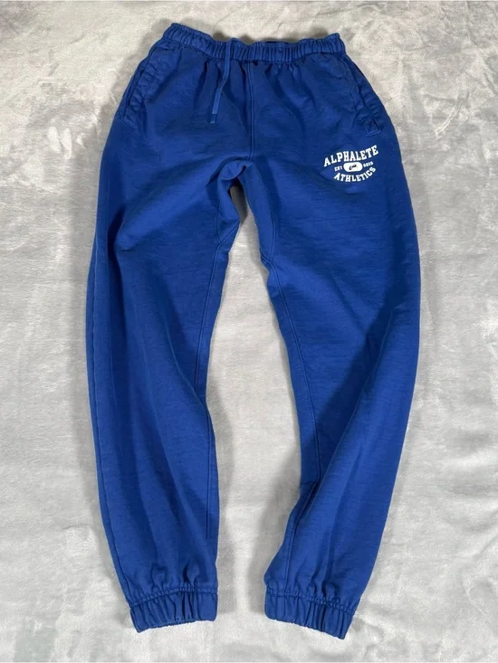 Alphalete Jogger Sweatpants Mens M 30” Tapered Fit Fleece Gym Washed Blue