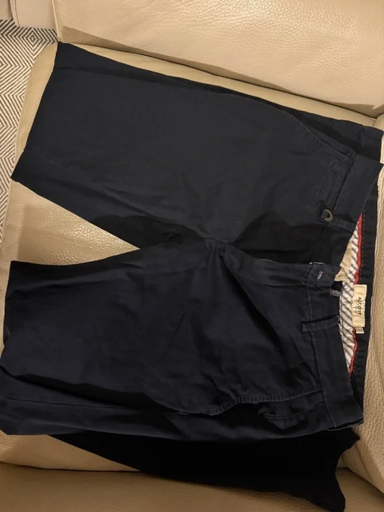 Alcott Men's Navy Blue Pants