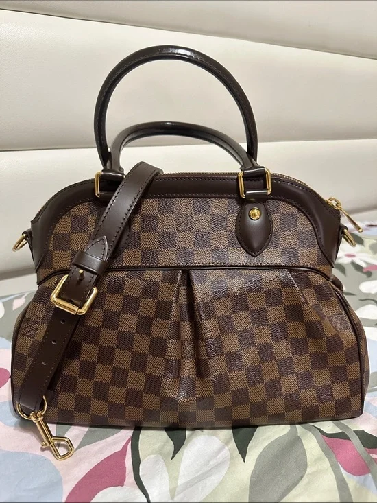 Louis Vuitton Damier Ebene Trevi