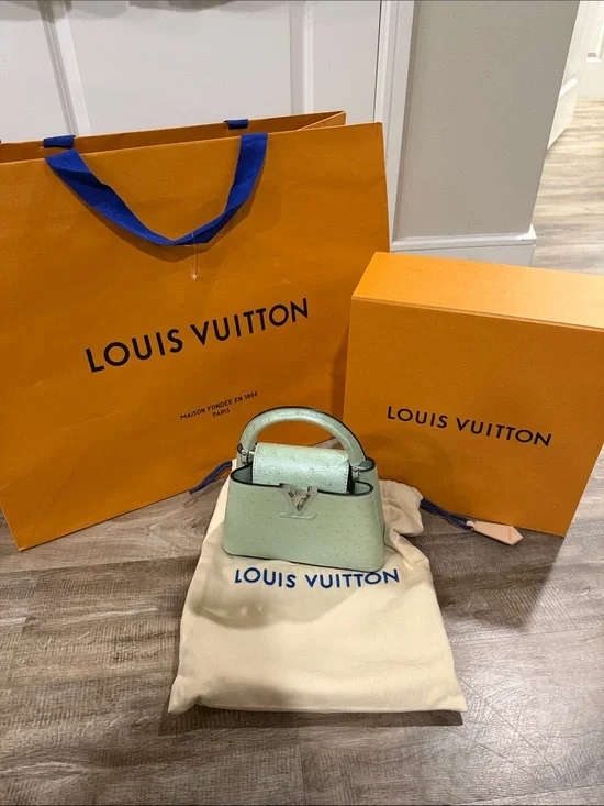 Louis Vuitton Capucines Mini Bag Exotic Ostrich in Mint Green