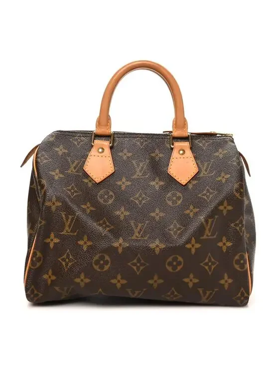 Louis Vuitton Speedy 25 #291042L14B