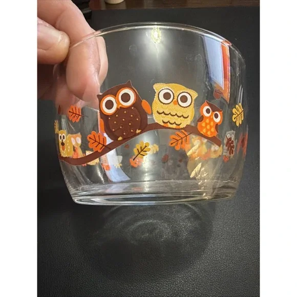 Vintage Libbey Crisa Hoot! Owl Fox Racoon Squirrel Fall Harvest 4.25