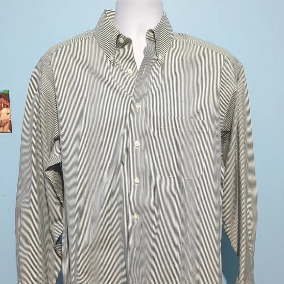 Roundtree & Yorke Men's Sage Striped Button Down Shirt