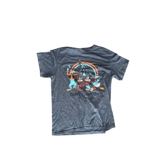 Disney Walt Disney World Florida Graphic Tee Retro Rainbow Grey Cotton Blend M