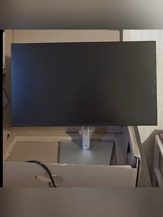 Dell (P2425H) 24