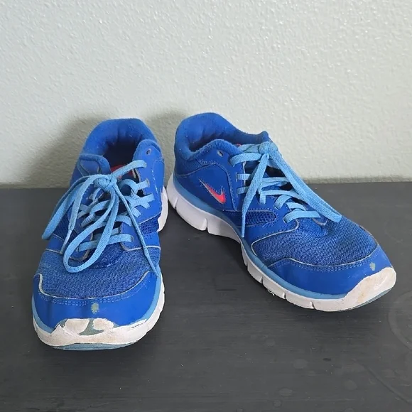 Nike Flex Experience Run 3 Low Blue Size 8
