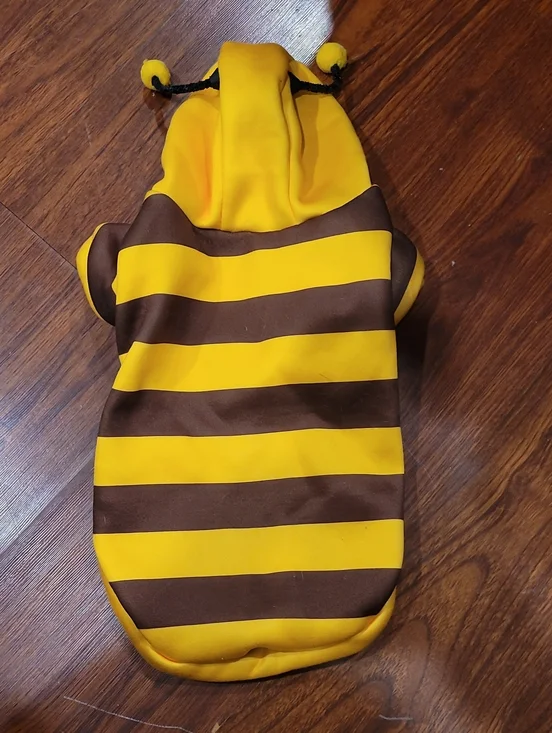 Yellow and Brown Striped Bee Hoodie