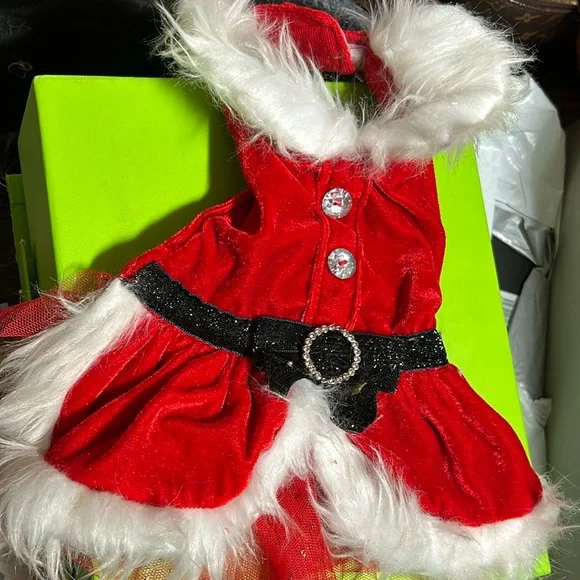HOLD! Santa Cat Kitten SANTA OUTFIT SZ XS
