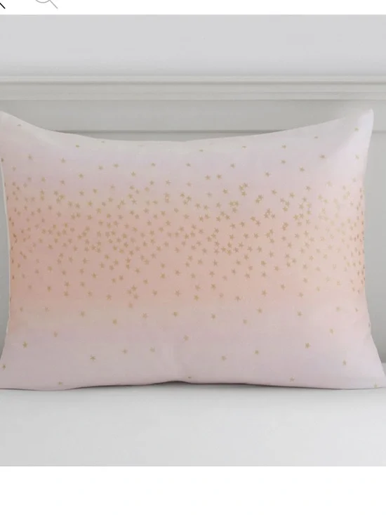 Set 2 Pottery Barn Monique Lhuillier Metallic Stardust Pillow Shams