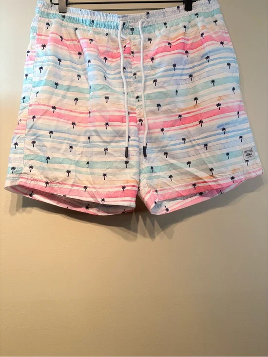 Men’s Pastel Stripe Palm-Print Swim Trunks - Multicolor