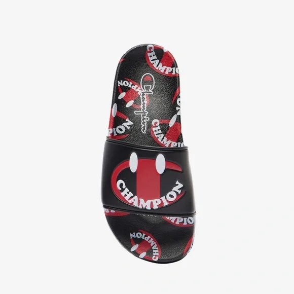 NIB Champion Slides