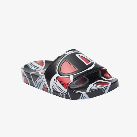 NIB Champion Slides
